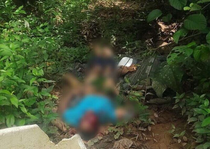 Cadáver com perfuração na cabeça é encontrado em área da mata no Tarumã