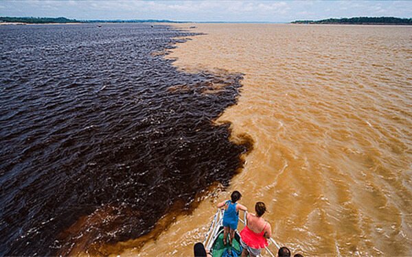 O Serviço Amazônico de Ação e Educação Socioambiental (SARES), representação dos padres jesuítas no Amazonas protocolou na terça-feira (8), com apoio do Movimento S.O.S Encontro das Águas, petição no Supremo Tribunal Federal (STF) contra a Procuradoria Geral do Estado (PGE-AM) que pediu a anulação do tombamento do Encontro das Águas