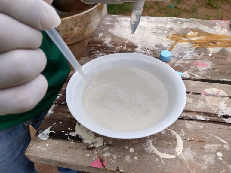 Amazonas apresenta redução no número de casos de dengue, segundo FVS