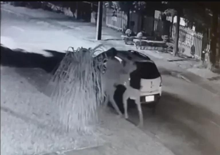 Novo vídeo da agressão ao morador de rua é divulgado. Veja