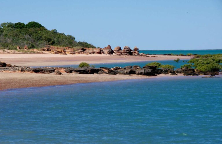 Alienígena?! Criatura é encontrada em praia na Austrália