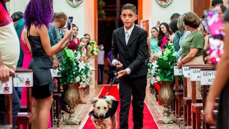 Vídeo: Padre encerra casamento após ver cães entrando com alianças no Ceará