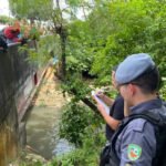 fiscaliza-news-corpo-de-mulher-trans-e-encontrado-em-igarape-na-chapada.jpg