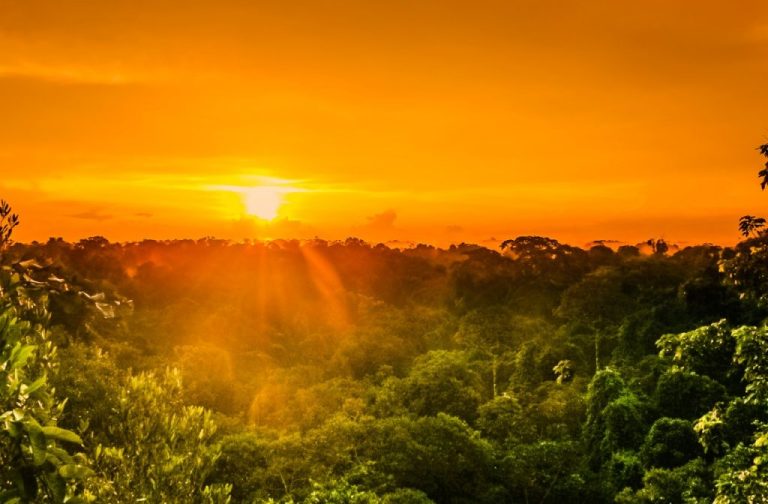 Cuidados essenciais com a pele de quem vive/trabalha nas ruas em Manaus