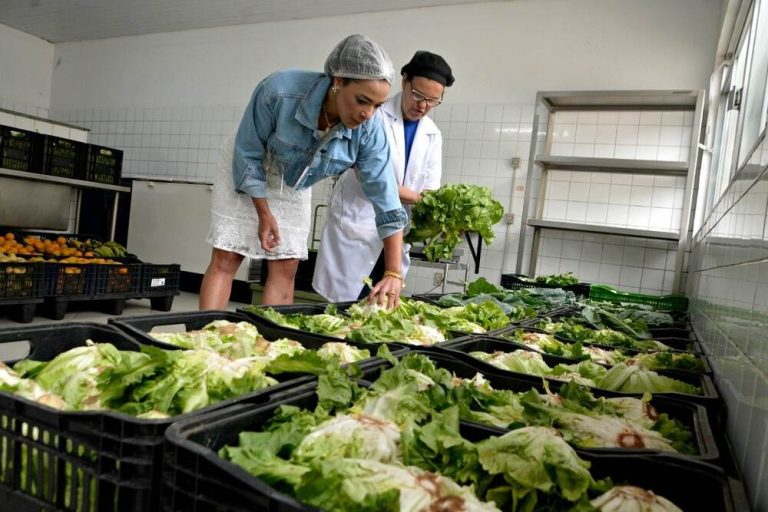 O Orçamento apresentado pelo governo federal para 2023 estabeleceu cortes em programas de assistência alimentar que variam de 95% a 97%