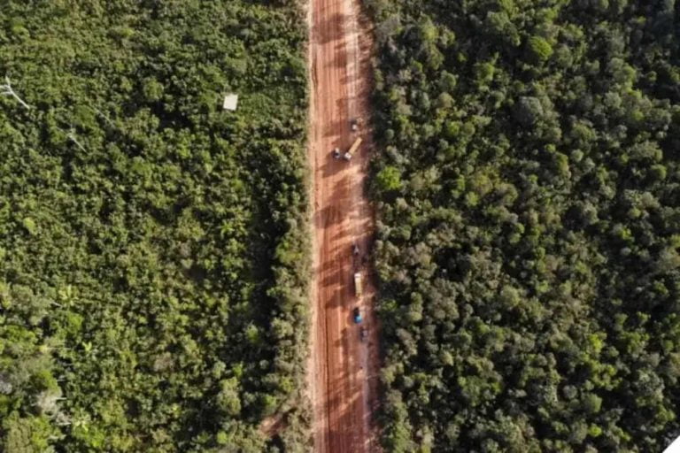 O Instituto de Proteção Ambiental do Amazonas (IPAAM) autorizou, na quinta-feira (1), o início das obras de reconstrução do "trecho do meio" da BR-319