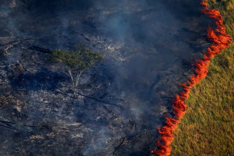 Dados históricos do Instituto Nacional de Pesquisas Espaciais (Inpe) revelam que a média de focos de queimadas na Amazônia alcançou, nos cinco primeiros dias de setembro, a maior média diária de fogo desde o início das medições do órgão federal