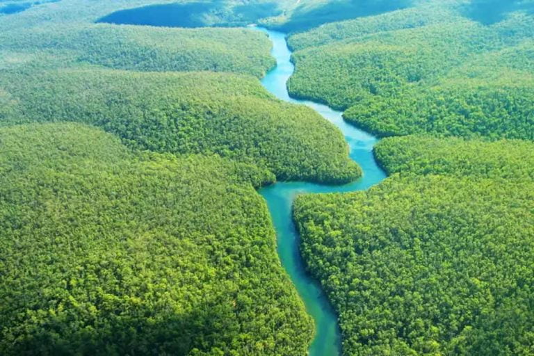 O Ministério Público Federal (MPF) emitiu recomendação ao Instituto Brasileiro do Meio Ambiente (Ibama) e à Petrobras para que suspendam a atividade de perfuração marítima programada para a bacia da foz do Amazonas