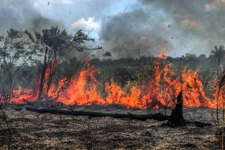 Amazonas registra mais de 2 mil focos de queimadas só nos primeiros dias de setembro