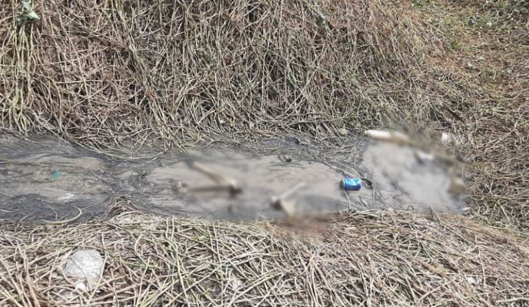 Ossada humana é encontrada no bairro Presidente Vargas