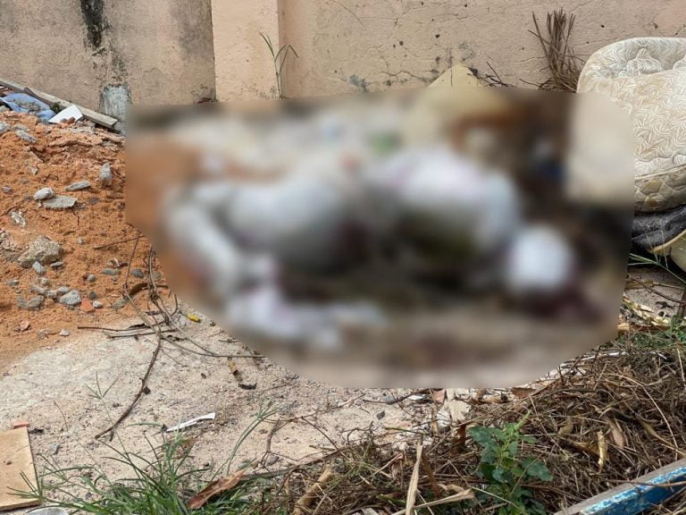 Corpo é encontrado enrolado em saco na zona Norte