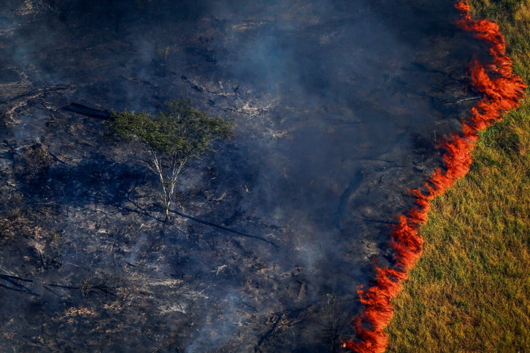 Amazonas é o segundo estado com mais focos de queimadas