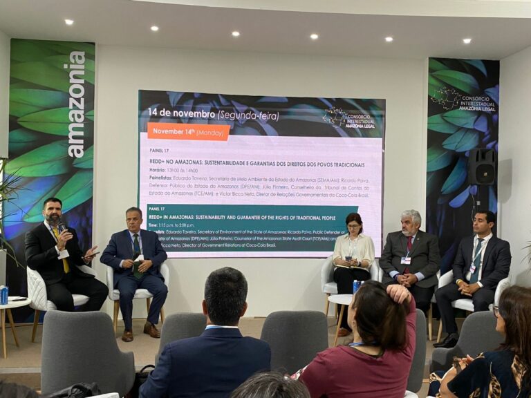 Desmatamento na Amazônia, COP27, Programa de combate
