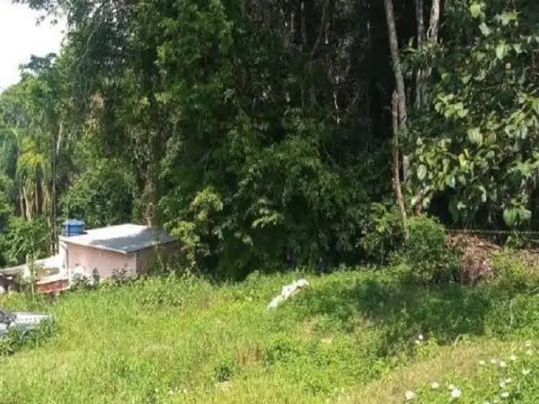 Homem com corda no pescoço é salvo por moradores na zona leste