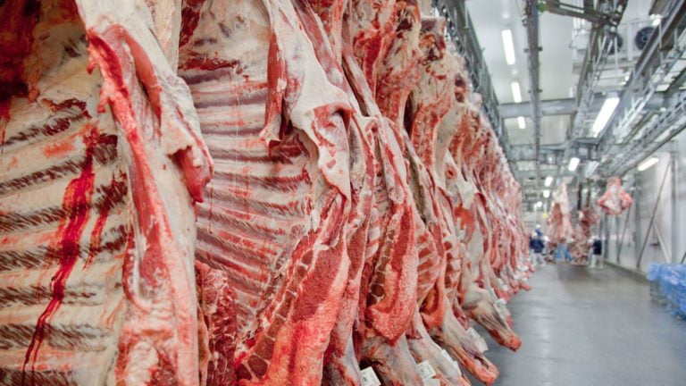 China e Indonésia habilitam frigoríficos brasileiros para exportação