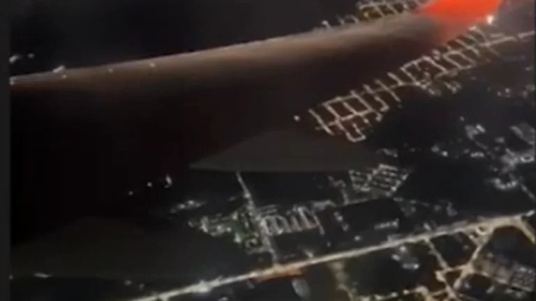 Avião interrompe pouso por causa de caranguejos na pista. Veja vídeo