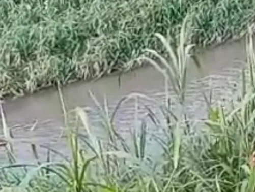 CENAS FORTES: Corpo de homem é encontrado em igarapé de Manaus