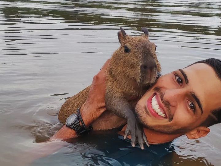 Influencer é multado e pode perder capivara após denúncia de maus-tratos no AM