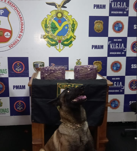 Mais de R$ 240 mil em drogas são apreendidos em Coari Mais de R$ 240 mil em drogas são apreendidos em Coari