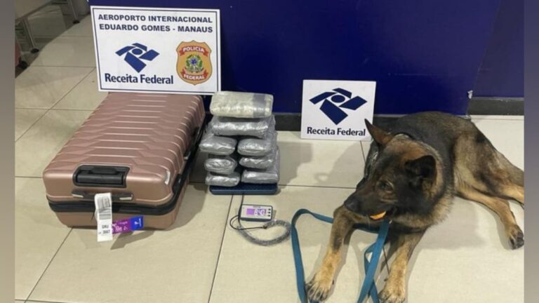 Receita Federal apreende 41 kg de maconha skunk no Aeroporto de Manaus