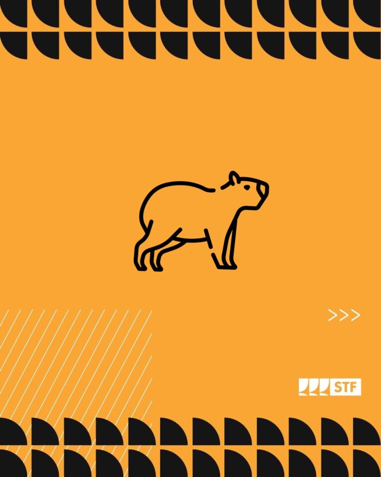 POLÊMICA: Após caso filó, STF movimenta redes sociais contra tráfico de animais
