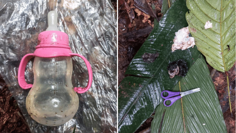 Autoridades da Colômbia dizem que crianças perdidas na floresta "ainda estão vivas"