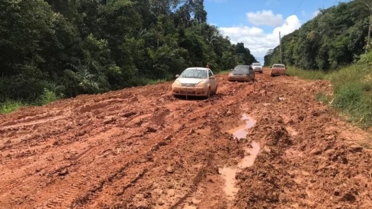 No Amazonas, obras no Lote C da BR-319, devem começar ainda este ano
