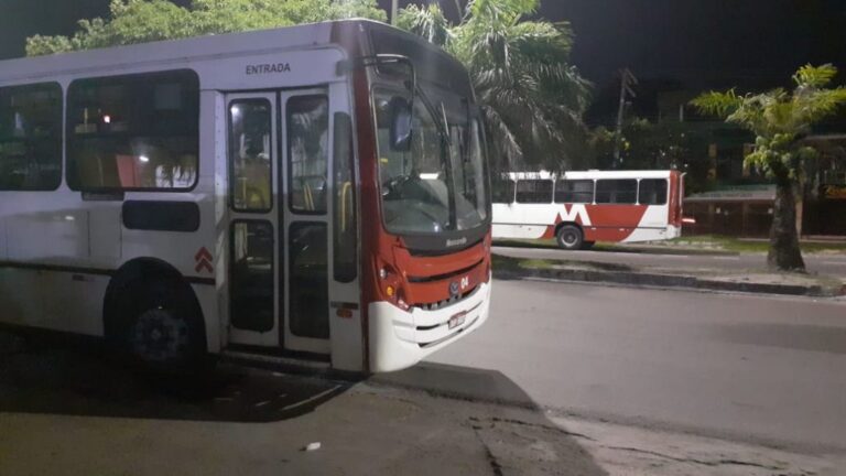 VÍDEO: Assaltantes aterrorizam passageiros da linha 461 e roubam 15 celulares