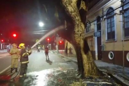 Mulher confessa ter incendiado árvore centenária no centro de Manaus