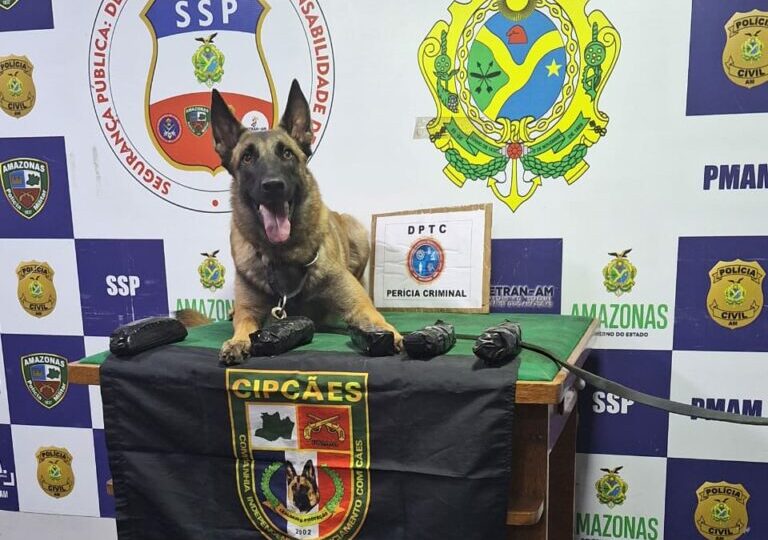 Droga avaliada em R$ 65 mil é apreendida em buffet no AM Droga avaliada em R$ 65 mil é apreendida em buffet no AM