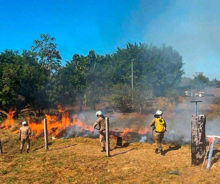 Operação combate 12 incêndios florestais no sul do Amazonas