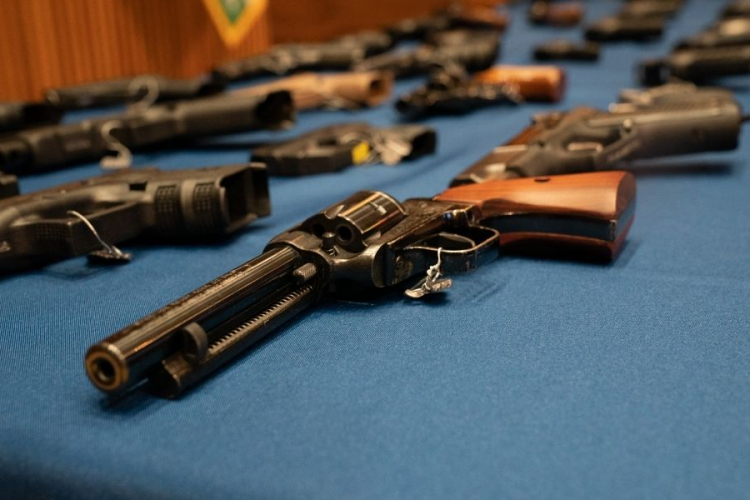 discursos pró-armas no Congresso