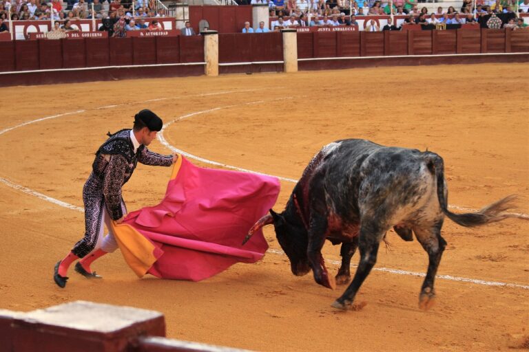 Corrida de touros deixa seis pessoas feridas em cidade da Espanha