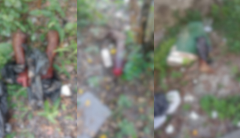 VÍDEO: Corpo esquartejado é encontrado em área de mata, em Manaus
