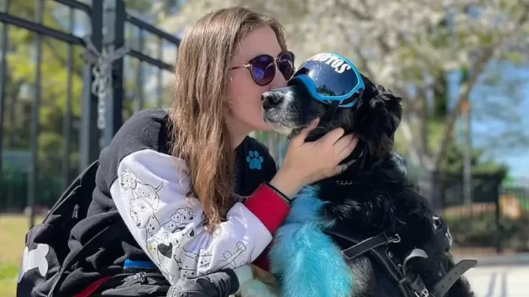 VÍDEO: Cachorro “salva” tutora com síndrome rara e viraliza na web