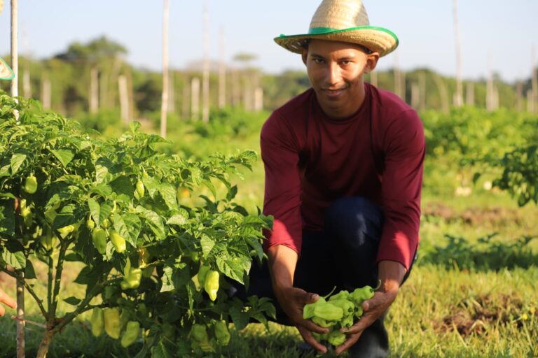 Plano Safra da Agricultura Familiar