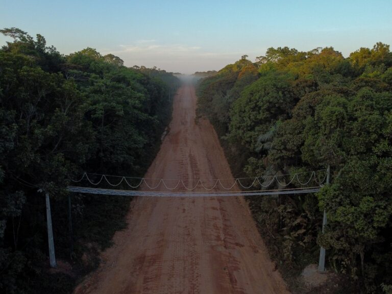 Deputados da Aleam propõe participar do grupo de trabalho da BR-319 do Governo Federal