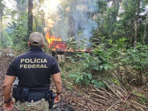 PF deflagra operação contra desmatamento em terra indígena na divisa do AM com RO