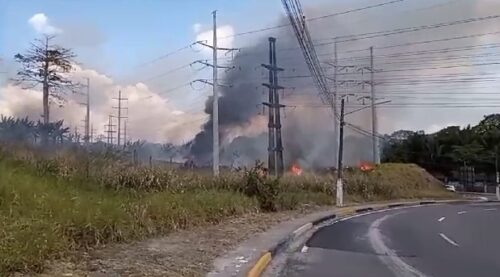 VÍDEO: Incêndio em área de mata da Avenida das Torres assusta condutores