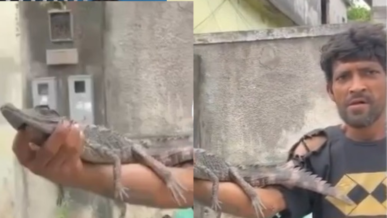 VÍDEO: Homem é flagrado vendendo jacaré vivo a R$ 20 nas ruas de Manaus