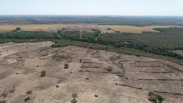 Ex-presidente do Naturatins e mais quatro são condenados por desmatamento ilegal