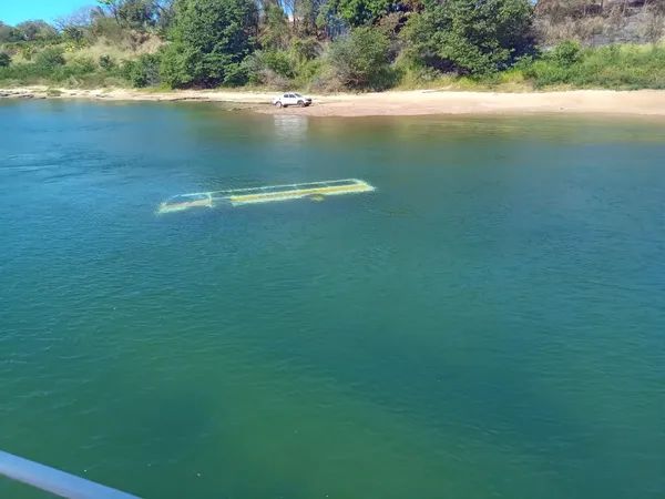VÍDEOS: Micro-ônibus afunda no rio Tocantins após cair de balsa