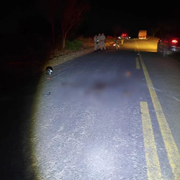 Motociclista atropela boi e morre em rodovia no norte do Tocantins