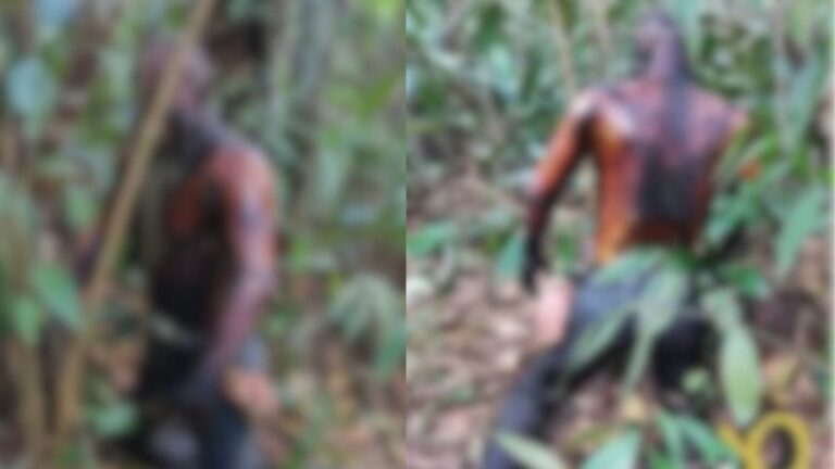 Adolescentes encontram corpo pendurado em árvore, no AM