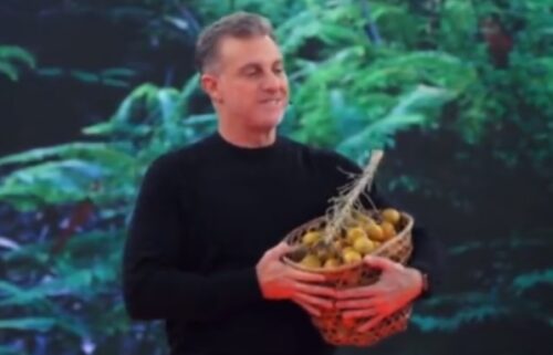 VÍDEO: Amazonenses detonam Luciano Huck após programa dizer que tucumã é uma ‘praga’