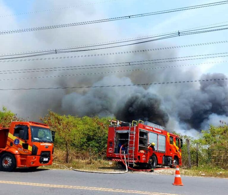 Mais de 200 incêndios foram contidos em Manaus durante agosto