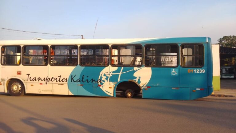 Passageiros vivem momentos de pânico após ônibus perder as rodas, no AM