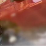 WhatsApp-Image-2023-09-11-at-17.41.42