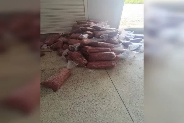 Loja é interditada após ser flagrada vendendo carne fake