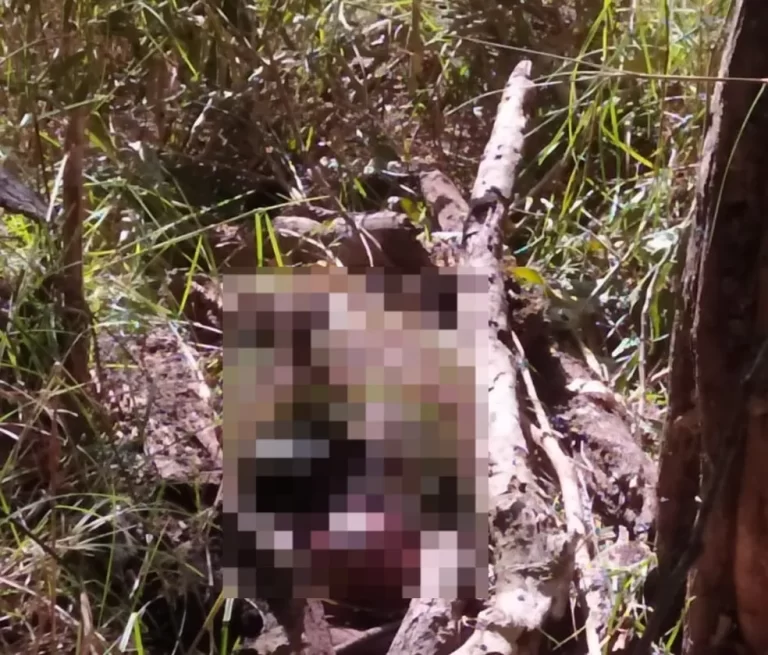 Jovem é preso tentando fugir após matar proprietário rural no TO